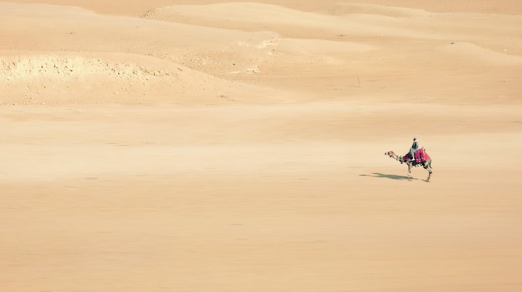 שמחה מדר קפלן | פעמי תימן במדבר