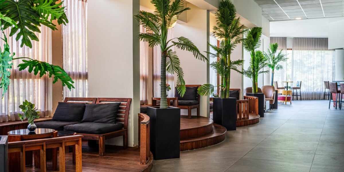 לובי | מלון ענבר ערד