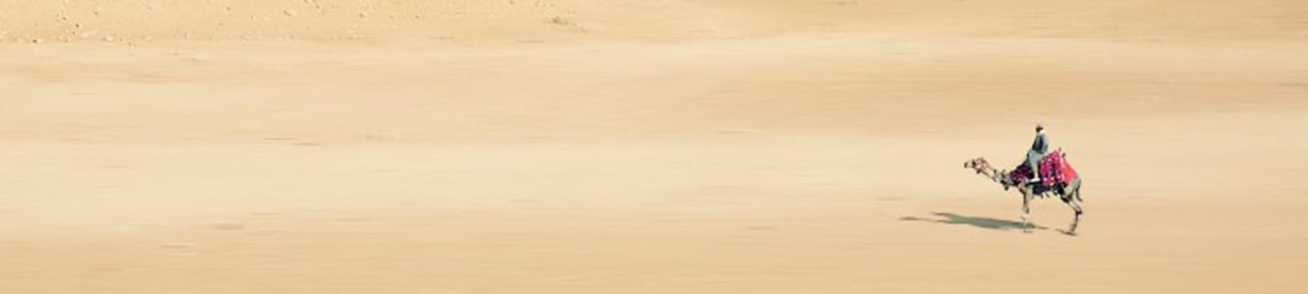 מלון במדבר - ענבר ערד |טיול במדבר בדואי עם גמל מלון במדבר - ענבר ערד |טיול במדבר בדואי עם גמל